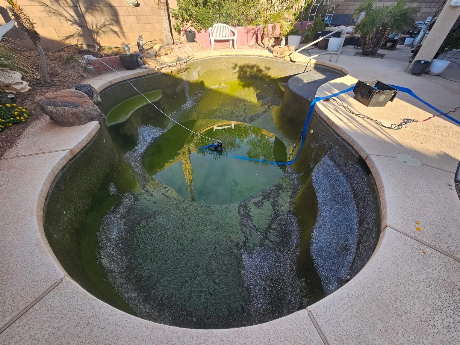 Green pool during recovery